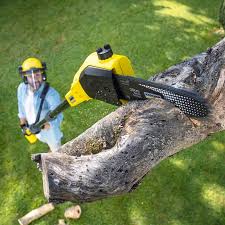 Lawn Pest Prevention in Newton, AL